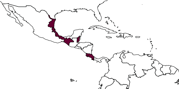 map of Digonocryptus propodeator     Kasparyan & Ruíz, 2005